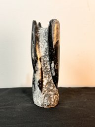 Squid Fossil In Marble