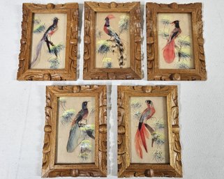 Vintage Framed Hand Painted Bird Feather Craft Wall Art Set Of 5