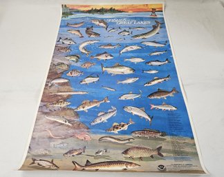 Vintage 1978 NOAA Fishes Of The Great Lakes Poster