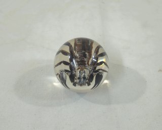 Scorpion In Acrylic/Lucite Ball Orb