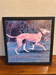 Framed Greyhound Dog Portrait Wall Art