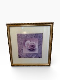 Framed Purple Seashell Wall Art