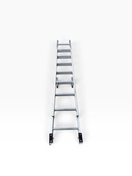 Werner 16-Ft Aluminum Extension Ladder  225-Lb Capacity