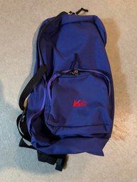 Vintage REI Purple Hiking Backpack