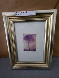 Framed Print Of Allium Flower Head