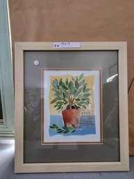 Framed Botanical Art Print Of Sage