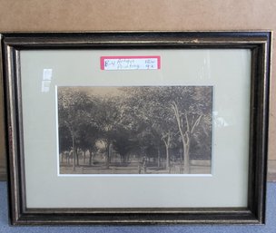 Black And White Photograph Of Boston Common