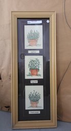 Framed Botanical Art Print By Mary Hughes