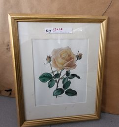 Vintage Collectible Framed Botanical Illustration Print Of A Rose By Anne Marie Trechslin