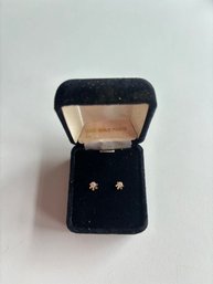 14kt Gold Posts Earrings