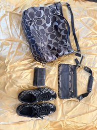 Collection Of Coach Items