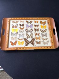 Serving Tray With A Taxidermy Butterfly Display