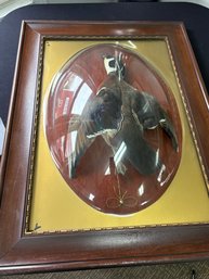 Vintage Era Bubble Framed Taxidermy Male Duck