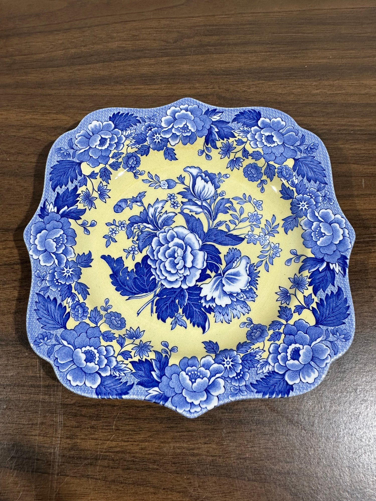 Vintage The Spode Blue Room Garden Collection 