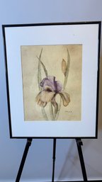 Framed Iris Floral Decorative Art Print By Blum