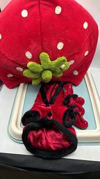 Lot Of 3  Pet Accessories Set (Cat/Dog Bed, Warm Coat, Shoes & Training Pad Holder)