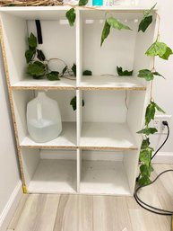 24'' 6 Cubbies Organizer Storage