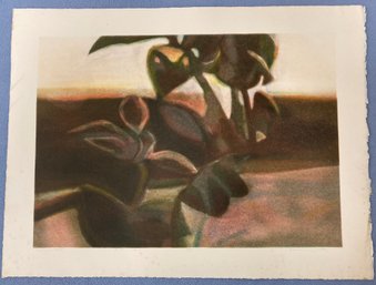 Print Off 1975 By Lorraine Metz 15 X 20