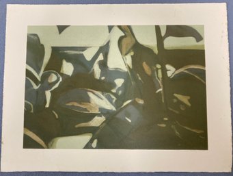 Artist Proof By Lorraine Metz Foliage II 1975  15 X 20