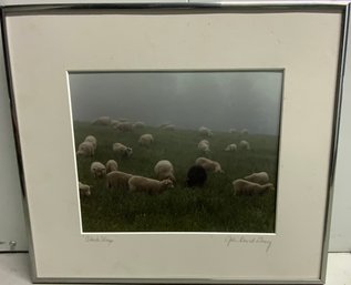 Black Sheep Signed Photo By John David Gerry 8 X 10