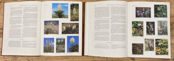 Flowers Of The United States Texas 2 Pc Book Set