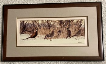 Framed Photo Of Pheasants Pat Corlash 6 X 15