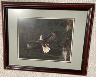 Eagle Print Signed 10 X 8