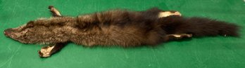 Fisher Cat Pelt 39 Long