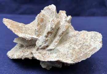 Desert Rose Gypsum Crystal Cluster