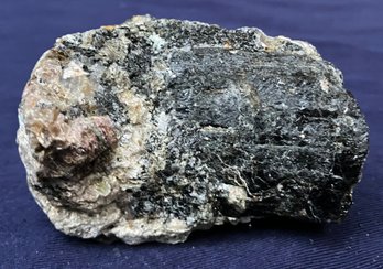 New Hampshire Schrol Tourmaline Crystal In Pegmatite 8.4 Ounces