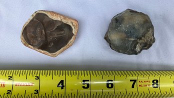 Two Pieces Of Texas Chirt