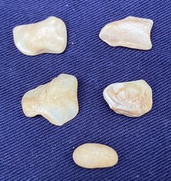 Native American Freshwater Pearls And/Or Shell