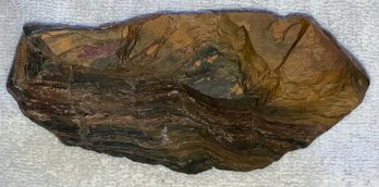 Petrified Wood