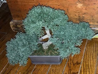 Two Decorative Bonsai Plants (Plastic)