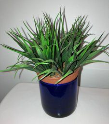 House Plant (Faux)