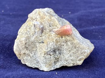 California Pink Tourmaline Specimen In Matrix 1.6 Ounces