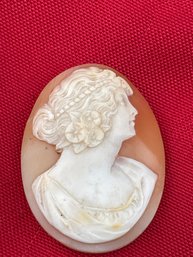 Beautiful Vintage  Carved Shell Cameo Unset