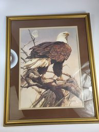 32' X 26' Inches Bald Eagle John Swatsley Painting