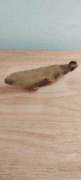 Vintage Animal Fur Seal (P-40)
