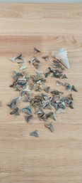 Lof Of Fossilized Shark Teeth (P-220)