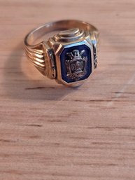 10K Yellow Gold Brown High School Ring (EL127)