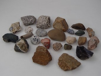 Instant Rock Collection Featuring A Petrified Wood Piece