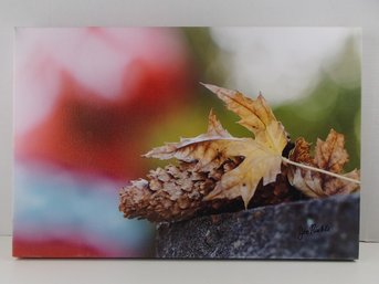 Fall Photo On Canvas