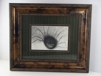 The Smiling Spider Print Richly Framed