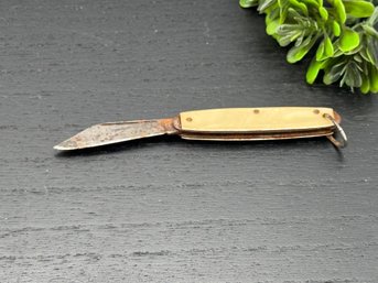 Vintage Unmarked Single Blade Folding Pocket Knife Watch Fob Ring Cream Celluloid Handle