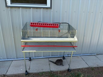 Wyandot Ranch Quail Cage