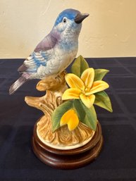 Mountain Blue Bird Andrea Sadek