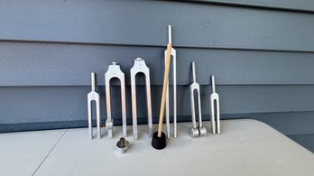 Set Of Tuning Forks With Case