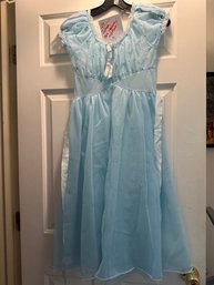 Vintage Blue Nightgown