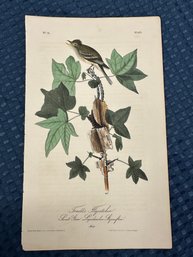 Lot 824 - 1840s - 1st Edition Traill's Flycatcher - Birds Of America - By John James Audubon Royal Octavo